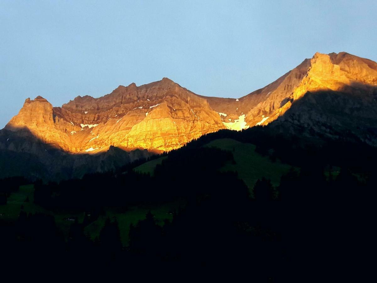 Laubrinus Apartamento Adelboden Exterior foto
